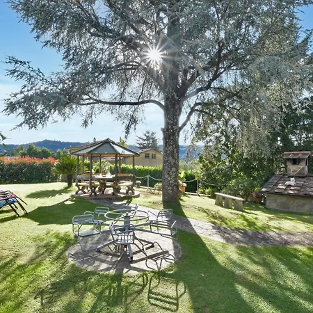 Lovely In With Wifi カマイオーレ